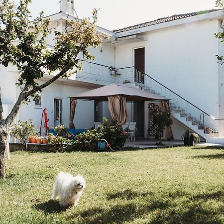 A Casa Da Estrela - Albergue De Peregrinos Fajozes Екстер'єр фото